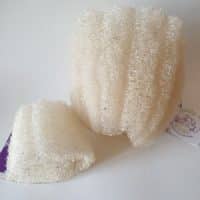 Les éponges de Loofah
